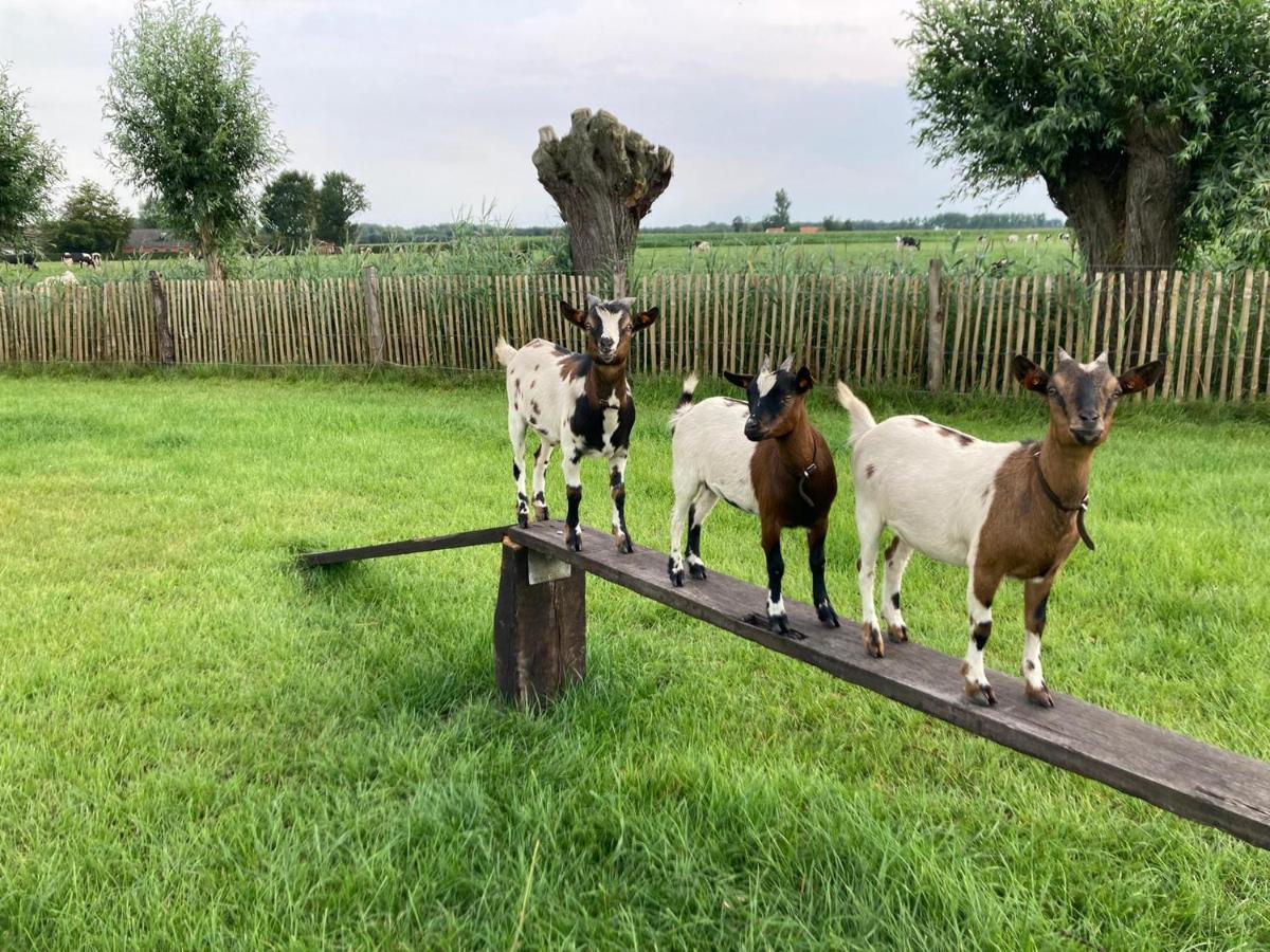 De Burkelhoeve App.A Maldegem Extérieur photo
